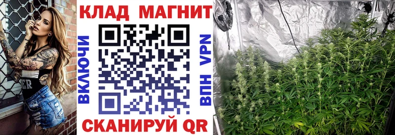 Виды наркоты Лосино-Петровский Бошки Шишки  МЕФ  Амфетамин  ГАШИШ 