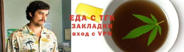 МДПВ Пересвет