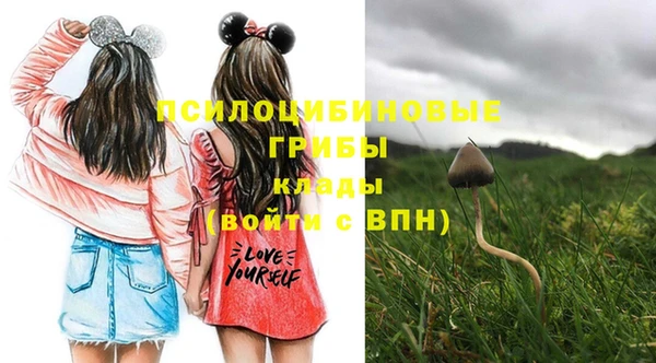 mix Пестово