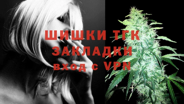 МДПВ Пересвет