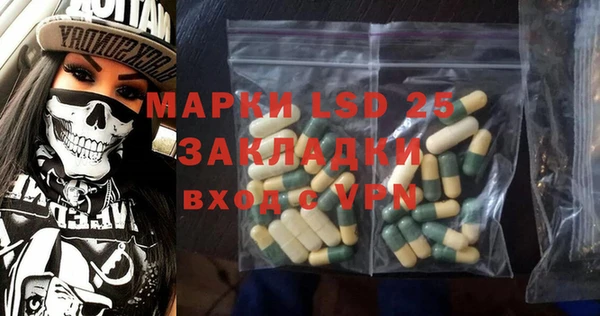 МДПВ Пересвет