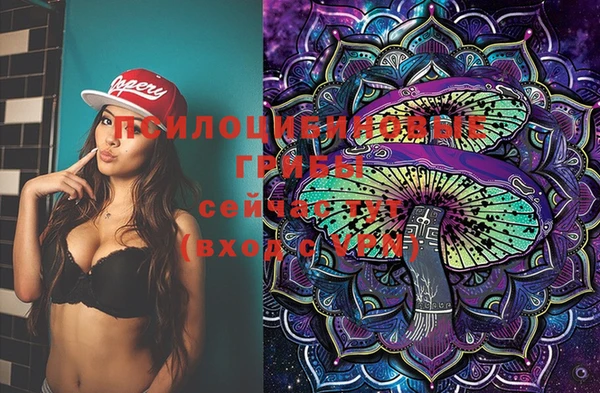mix Пестово