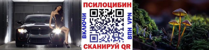Псилоцибиновые грибы прущие грибы  магазин продажи   Лосино-Петровский 